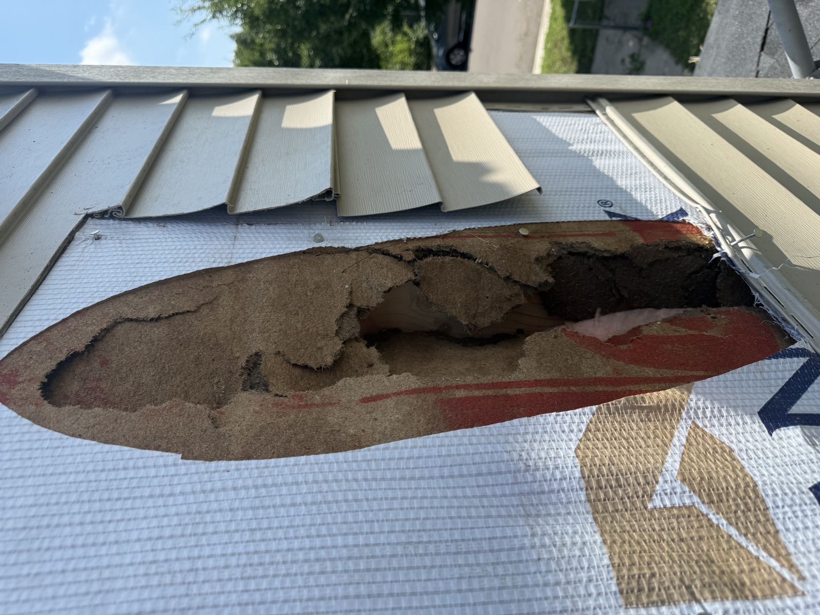 Exterior wall opened up during siding work